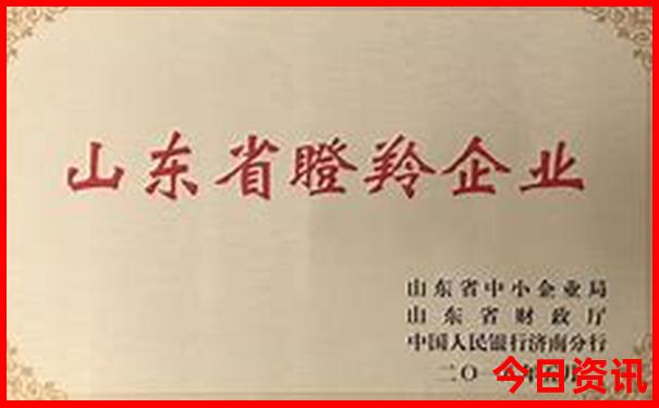 金华适合小孩玩的旅游景点